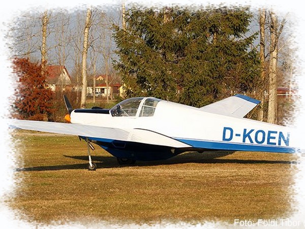 D-KOEN Scheibe SF-25C Falke