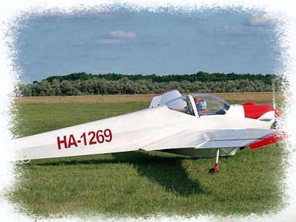 HA-1269 Scheibe SF-25C Falke